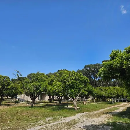 Campsite Orange Camp Antalya