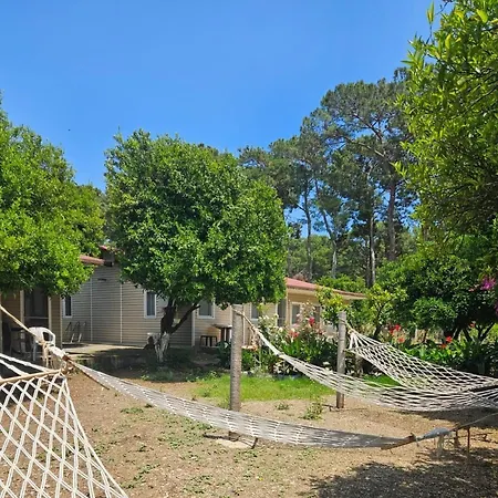 Orange Camp Campsite 3*