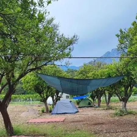 Orange Camp Kemping