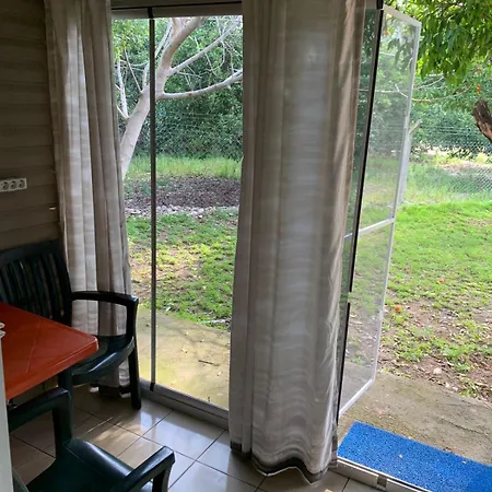 Kemping Orange Camp