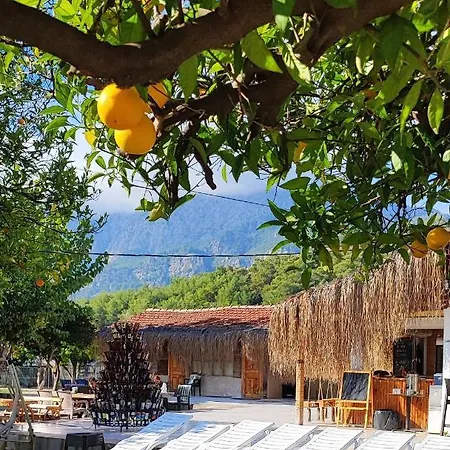 Orange Camp 3* أنطاليا