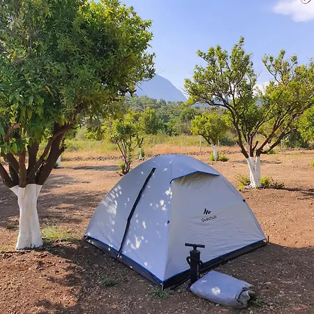 Orange Camp مكان تخييم