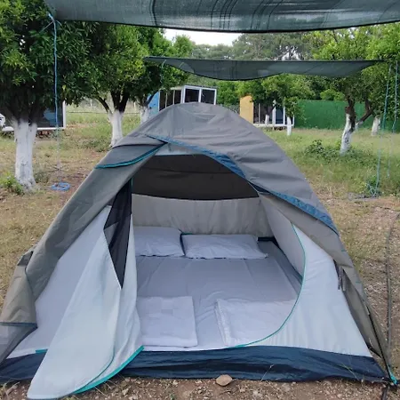 مكان تخييم Orange Camp 3*