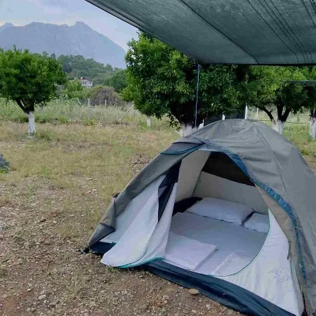 مكان تخييم Orange Camp 3*